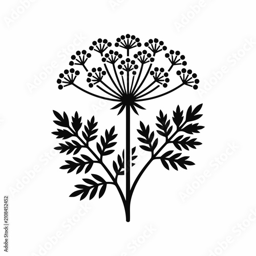 Black and white silhouette of a Queen Anne's Lace flower with detailed leaves, isolated on white background.