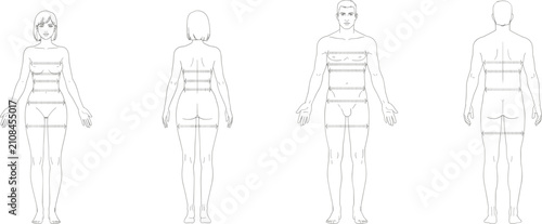Fotografie Male and Female Body Outline with Measurement Lines for Sizing and Tailoring hum