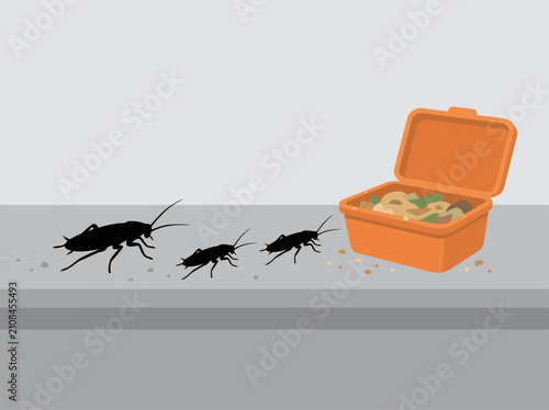 Fotografie Cockroaches infest a kitchen counter near an open trash can