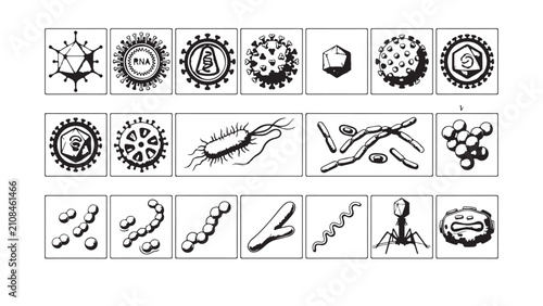 Bild auf Leinwand Detailed Illustrations of Viruses and Bacteria in Frames