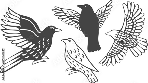 Foto Set of four black and white bird in various flying and perched poses, featuring