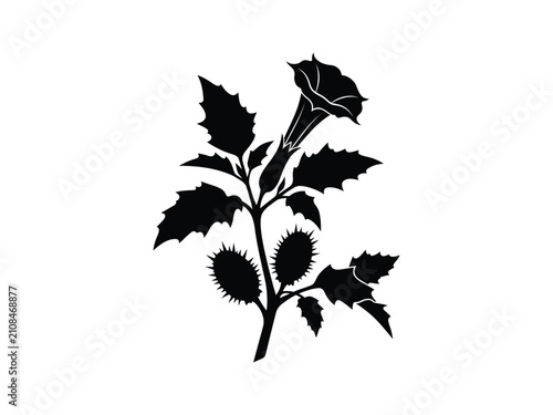 Black and White Datura Thorn Apple Botanical Silhouette Design
