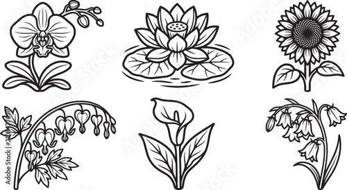 Foto Flower line art collection set featuring orchid water lily sunflower bleeding he
