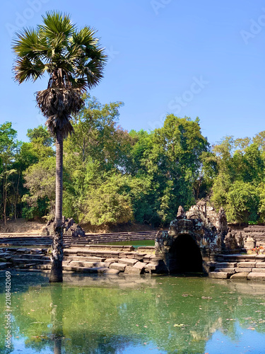 фотографія Neak Pean, Cambodia - February 21, 2020: Palm Tree and Old Ruins Reflected in th