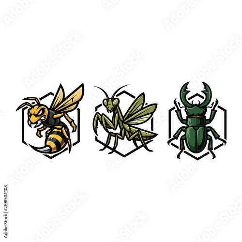 Set of three illustrated insects in hexagon frames featuring a wasp, praying mantis, and stag beetle in a stylized vintage vector graphic design