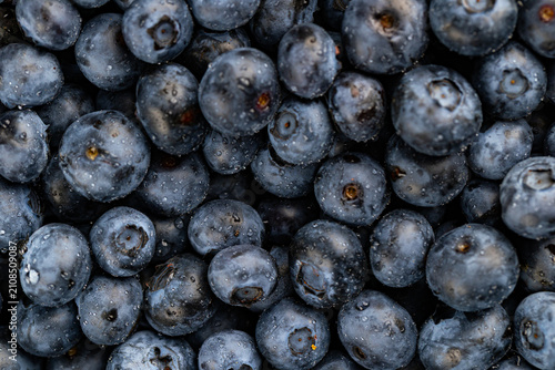 Macro close-up of fresh ripe blueberries with natural bloom texture