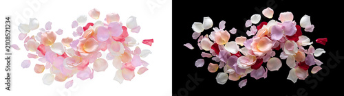 Fotografía Rose Petals scattered romantic flower petal arrangement for elegant decorations