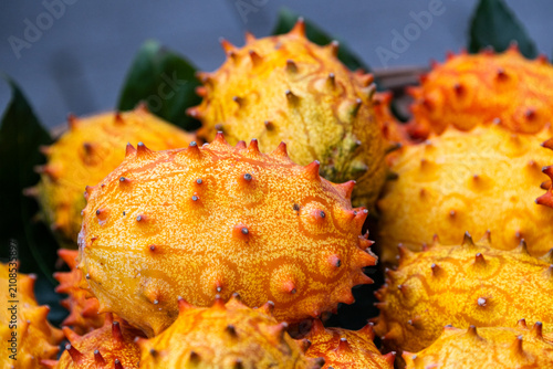 Photography Fruit of a pitahaya cactus, with leathery yellow skin studded with scale-like bracts  with a bland taste