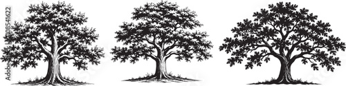 Canvas-taulu Minimal Broadleaf Tree Silhouette Collection Black and White Vector Set