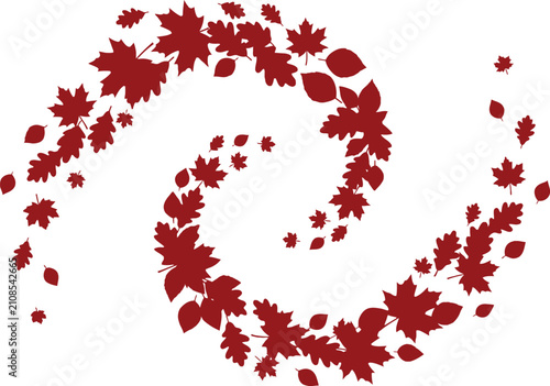 A swirling vortex of vibrant red autumn maple leaves isolated on a clean white background