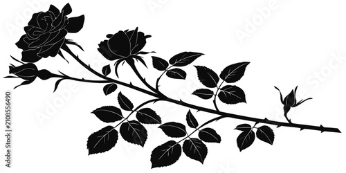 Foto Black rose petals silhouette collection isolated on white background, black and