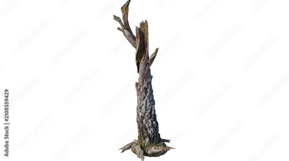 Fototapeta premium old, log, trunk, wood, timber, stump, old log, tree trunk, wooden log, tree stump, old png, log png, trunk png, PNG on Transparent background