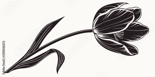 Foto Black tulip silhouette with detailed petals on white background, isolated