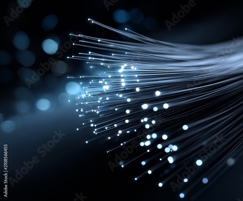 Discovering the beauty of fiber optic technology at night