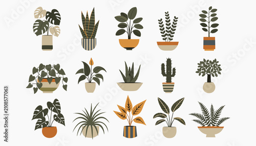 Collection of modern indoor house plants and trendy ceramic pots