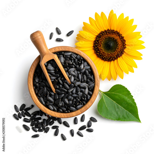 Realistic wooden bowl of black sunflower seed with yellow flower on white background