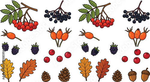 Bild auf Leinwand Autumn Botanical Collection with Rowan Elderberry Rosehip Oak Leaves Pinecones A