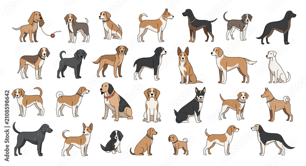 Obraz premium Vector illustration collection of different dog breeds standing and sitting in various poses isolated on white background.