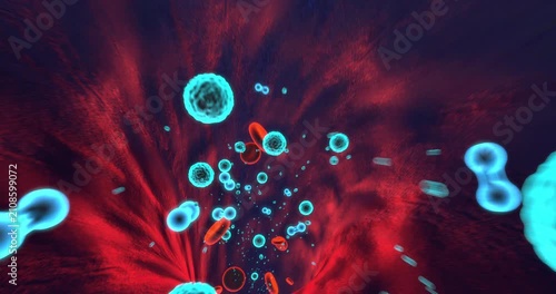 3D animation of red blood cells carrying oxygen through human blood vessel. Science And Health Related 3D Animation.