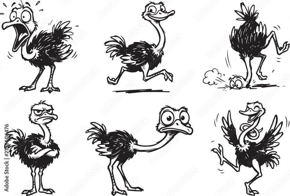 Obraz premium Set of ostriches. Hand drawn vector illustration