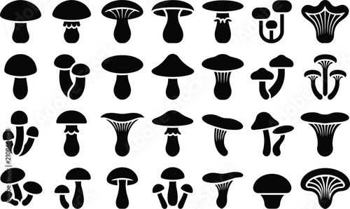 Konstfotografi Mushroom icons set, collection of edible fungi for cooking and foraging themes