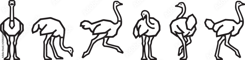 Fototapeta premium Set of ostriches. Hand drawn vector illustration