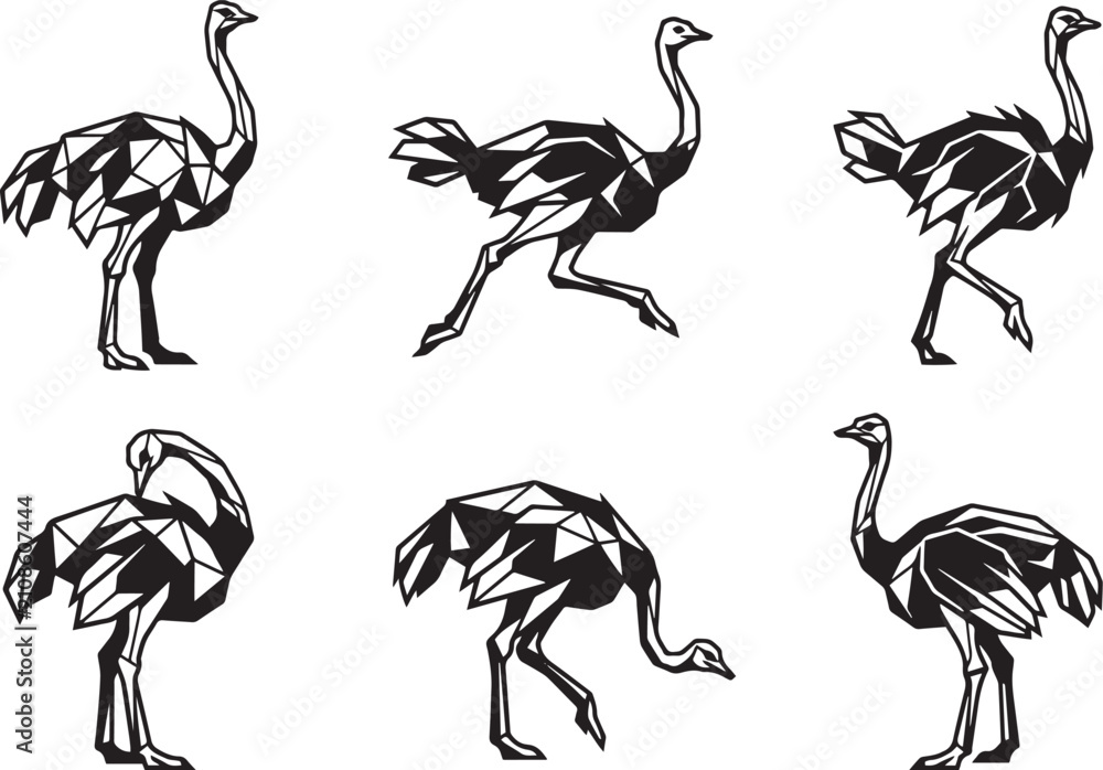 Fototapeta premium Set of ostriches. Hand drawn vector illustration