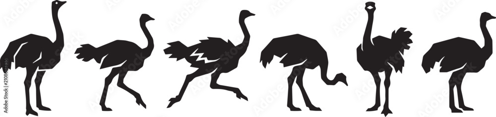Fototapeta premium Set of ostriches. Hand drawn vector illustration