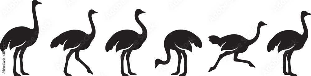 Fototapeta premium Set of ostriches. Hand drawn vector illustration