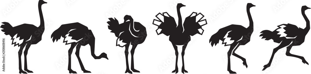Fototapeta premium Set of ostriches. Hand drawn vector illustration