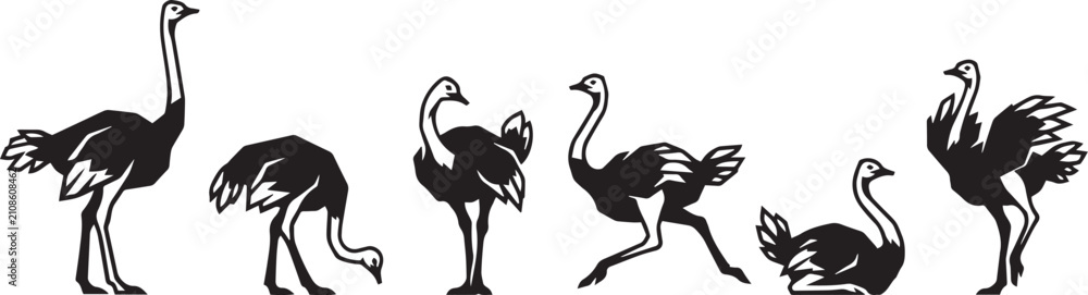 Fototapeta premium Set of ostriches. Hand drawn vector illustration