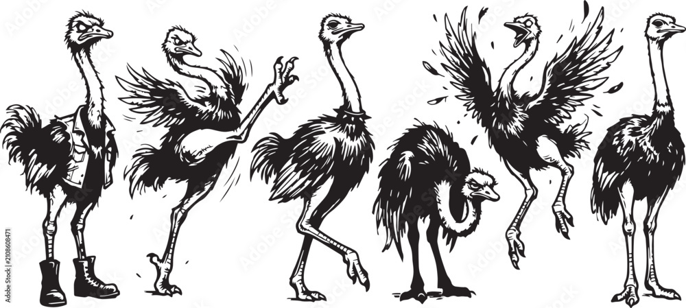 Fototapeta premium Set of ostriches. Hand drawn vector illustration
