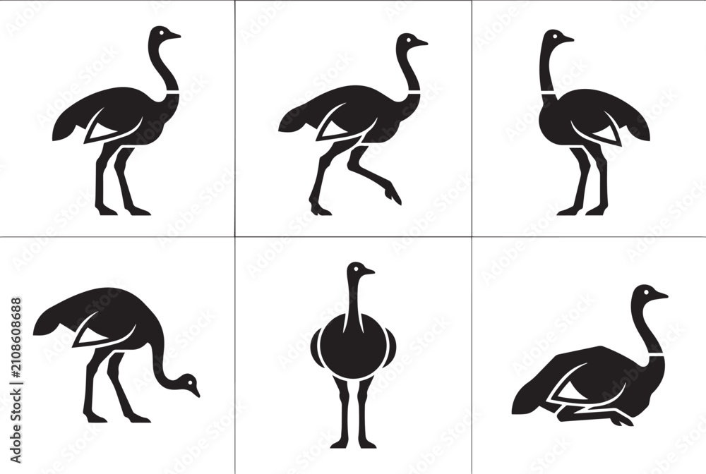 Fototapeta premium Set of ostriches. Hand drawn vector illustration