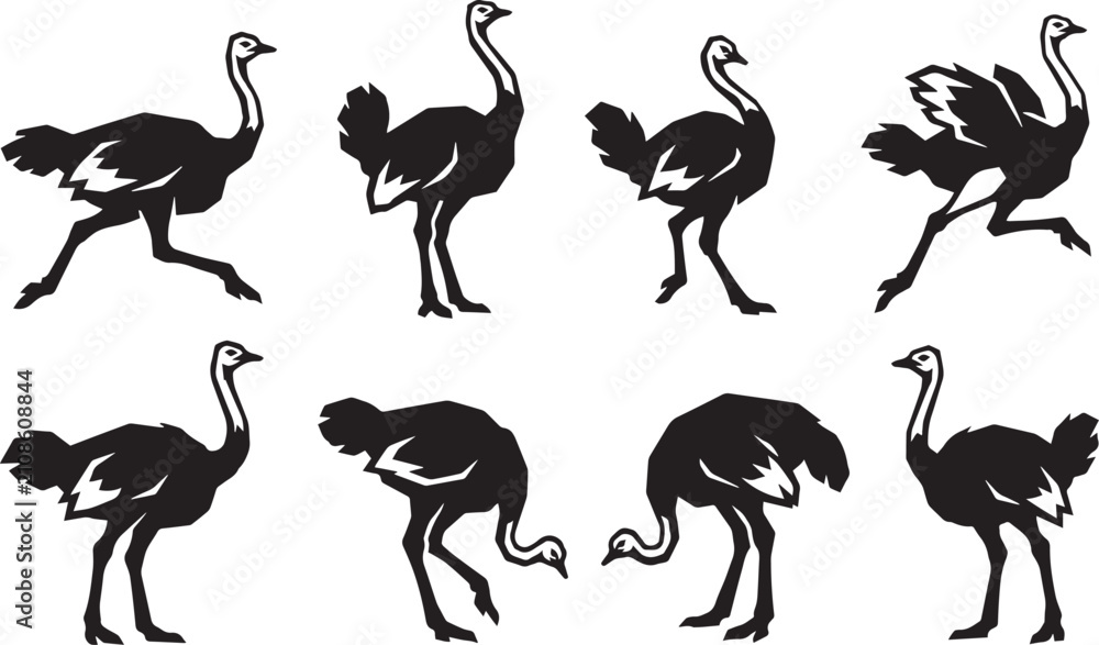 Fototapeta premium Set of ostriches. Hand drawn vector illustration
