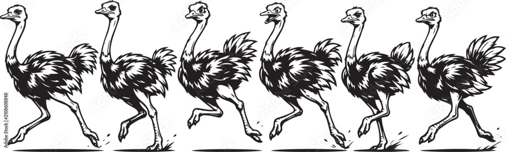 Fototapeta premium Set of ostriches. Hand drawn vector illustration