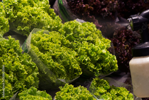 фотографія Fresh leafy greens at the market.