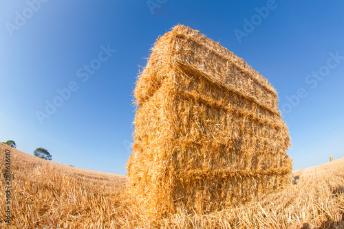 фотографія Bales of hay stacked in a field under a blue sky during harvest time