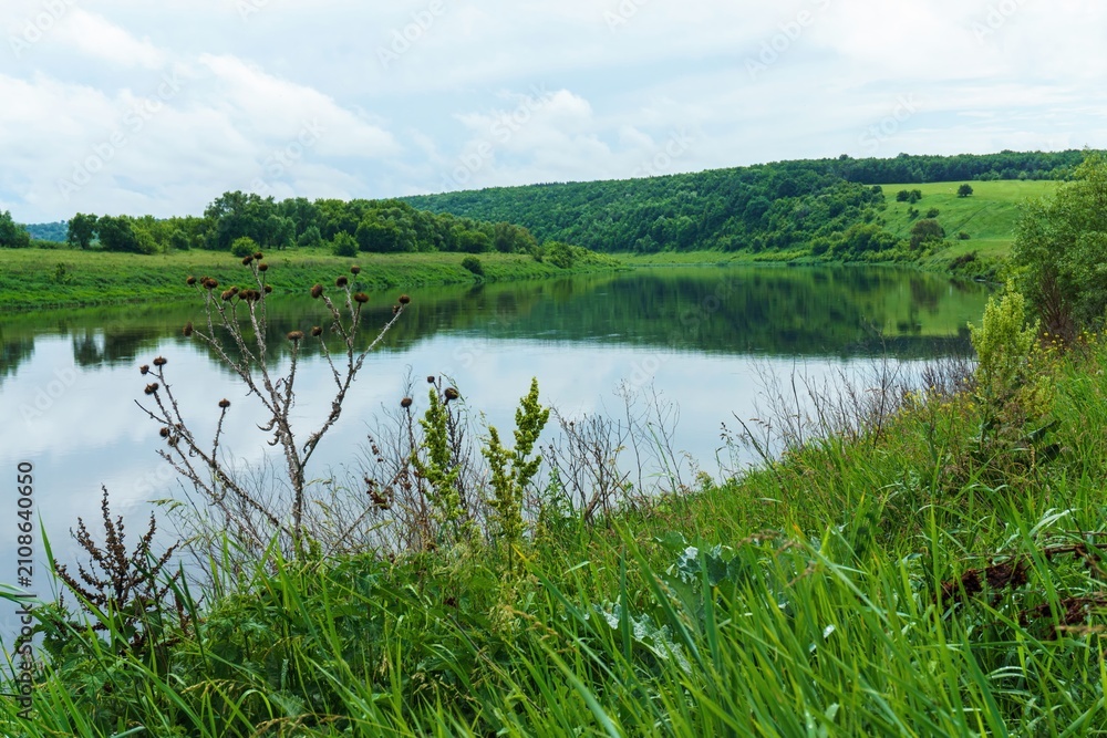 Obraz premium Scenic riverside view with still water, lush trees, rolling hills, and wild plants under a soft overcast summer sky