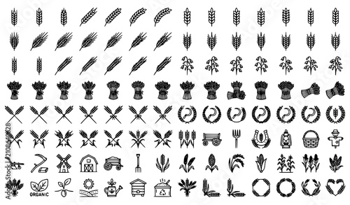 Foto Wheat Sheaf Outline Collection Botanical Agriculture Vector