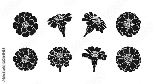 Marigold and zinnia flower head silhouettes.