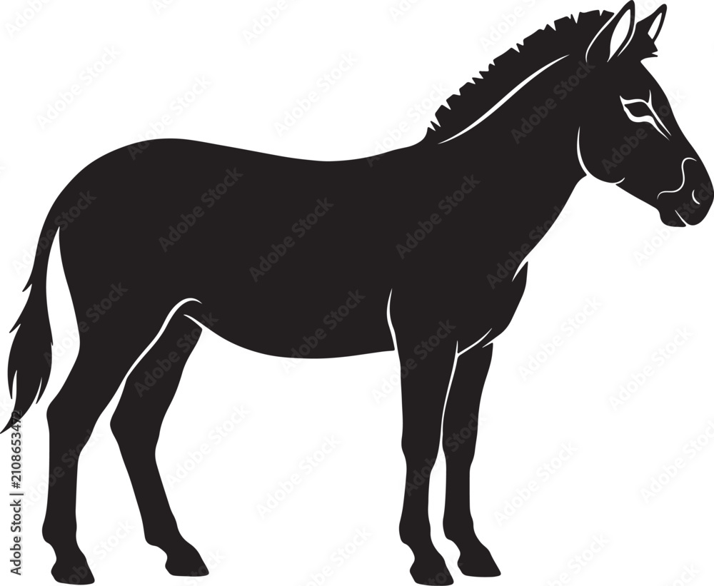 Obraz premium Black and white silhouette of a standing donkey, side profile view of a farm animal with a short mane and tail on a plain white background