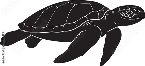 Fotografie Black and white silhouette of a swimming sea turtle, side profile view of a mari