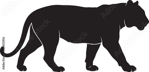 Canvastavla Black silhouette of a walking tiger, side profile view of a large predatory cat
