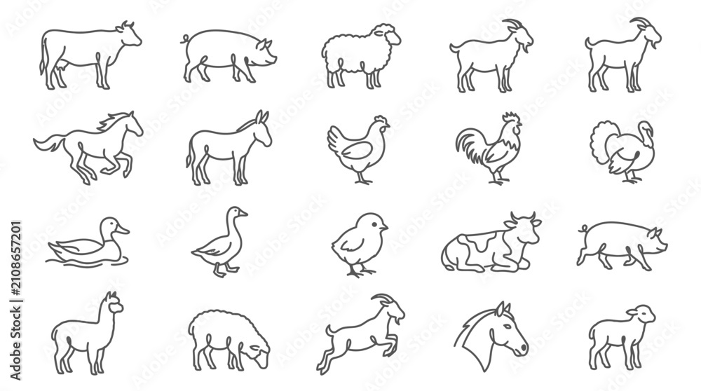 Fototapeta premium Set of hand drawn farm animals sketch icons.