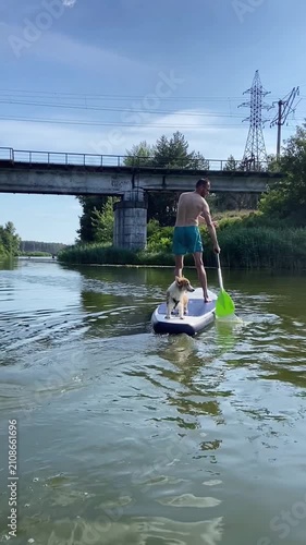 Man paddleboarding with corgi dog on calm water during summer day. Outdoor recreation, companionship, and adventure activity with pet on SUP board. Vertical video.
