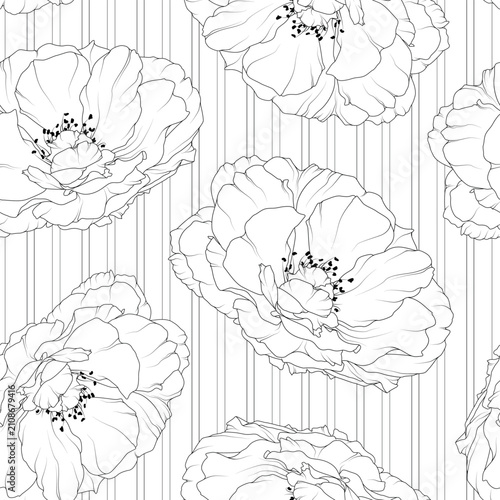 Peony Rose Seamless Pattern with Line Art Flowers and Pinstripes. Black and White Floral Seamless Pattern.