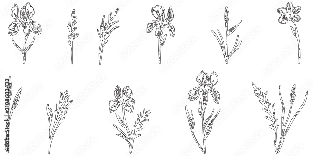Fototapeta premium A set of hand-drawn sketches featuring various plant specie