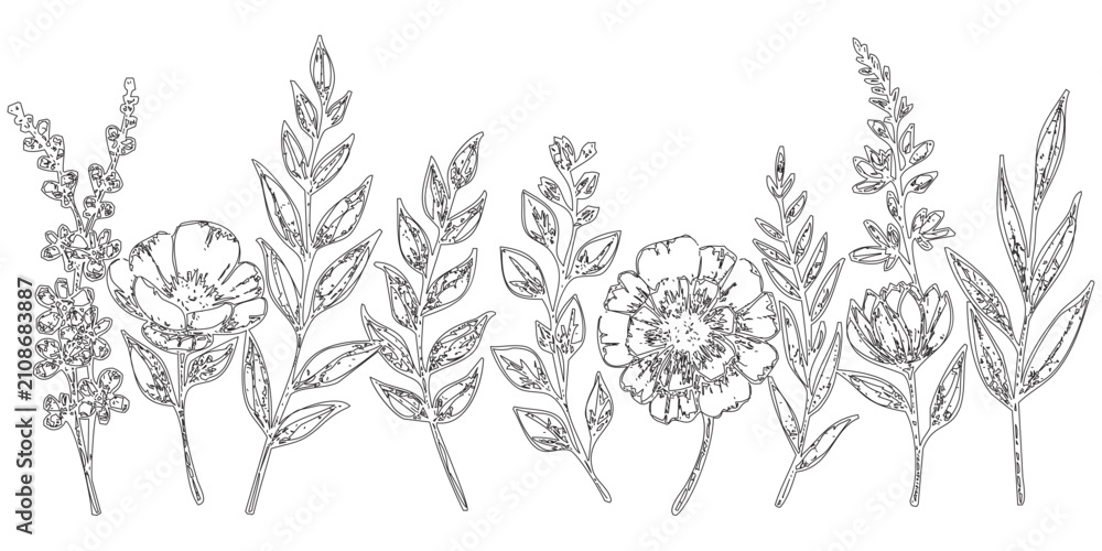 Fototapeta premium Black and White Line Drawings of Various Flowers - This image