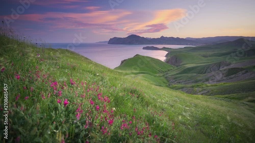 Scenic rack focus shot moving from pink wildflowers in the foreground to a beautiful sea bay with rolling green hills at sunset. Cinematic coastal nature footage under a warm evening sky.