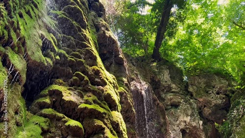 Water falls from a high mossy cliff, forming thin streams against the background of bright forest foliage of trees, view from below. Concept: wildlife, forest spring, ecological cleanliness, hiking